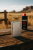 731bec478a8a409f40bb8304507cd3ea.png
