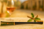 630dc37d28d737f8cea312e8e69ad144.png