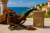 72a81874007bf28414eb8f1f36b4b475.png