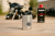 bb7191d21f71011d4922b93bfd30431e.png