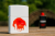 a1f67d386e94da7b0f75bad9f5473b5d.png