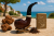 5d26a3d79bdee80bccfa15b5d54b53cd.png