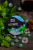 e4b60d7333a33e7fd439faf63daa2338.png