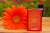 ff9404d177429788720fd3b0ca0dc544.png