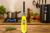31d92ca38f0dd1b08b83b449e530a3a6.png