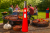 1baf8209a09a1a9f072c821ddd1590c9.png