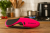 436b07c506d449b0207a3bb56cb34580.png