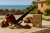 645f3b1adfd5a562d9b7b59730e9fe2a.png