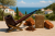 79b4ab363f8ac0d7e6cf21154ee62f81.png
