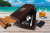 8bd32c809930094e7f48d22f5309c9bf.png
