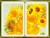 5cb220f82e183fae4cce645f4a473dcc.jpg