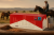 131fae801b46571cfc42ddd2569f22cb.png